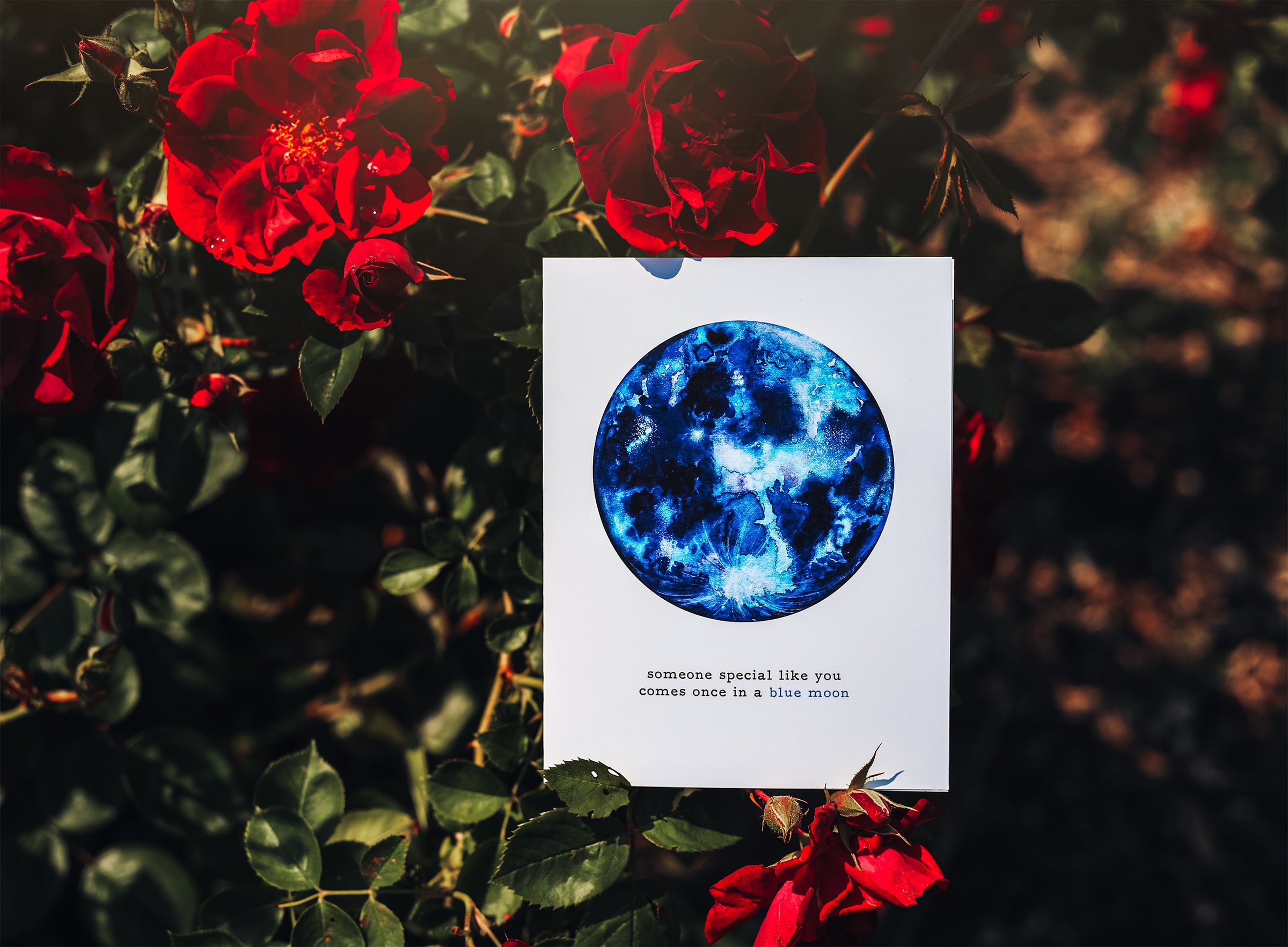 All Occasion Greeting Cards