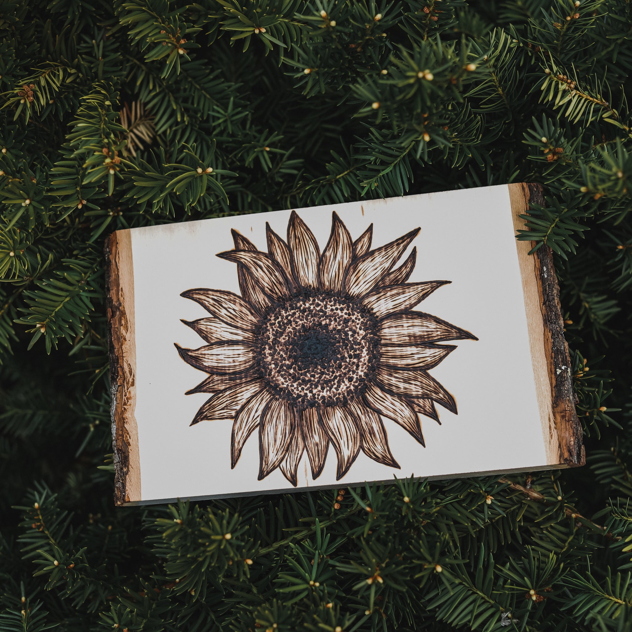 Woodburned Sunflower Piece-floral Pyrography Round Wooden Canvas -   Canada