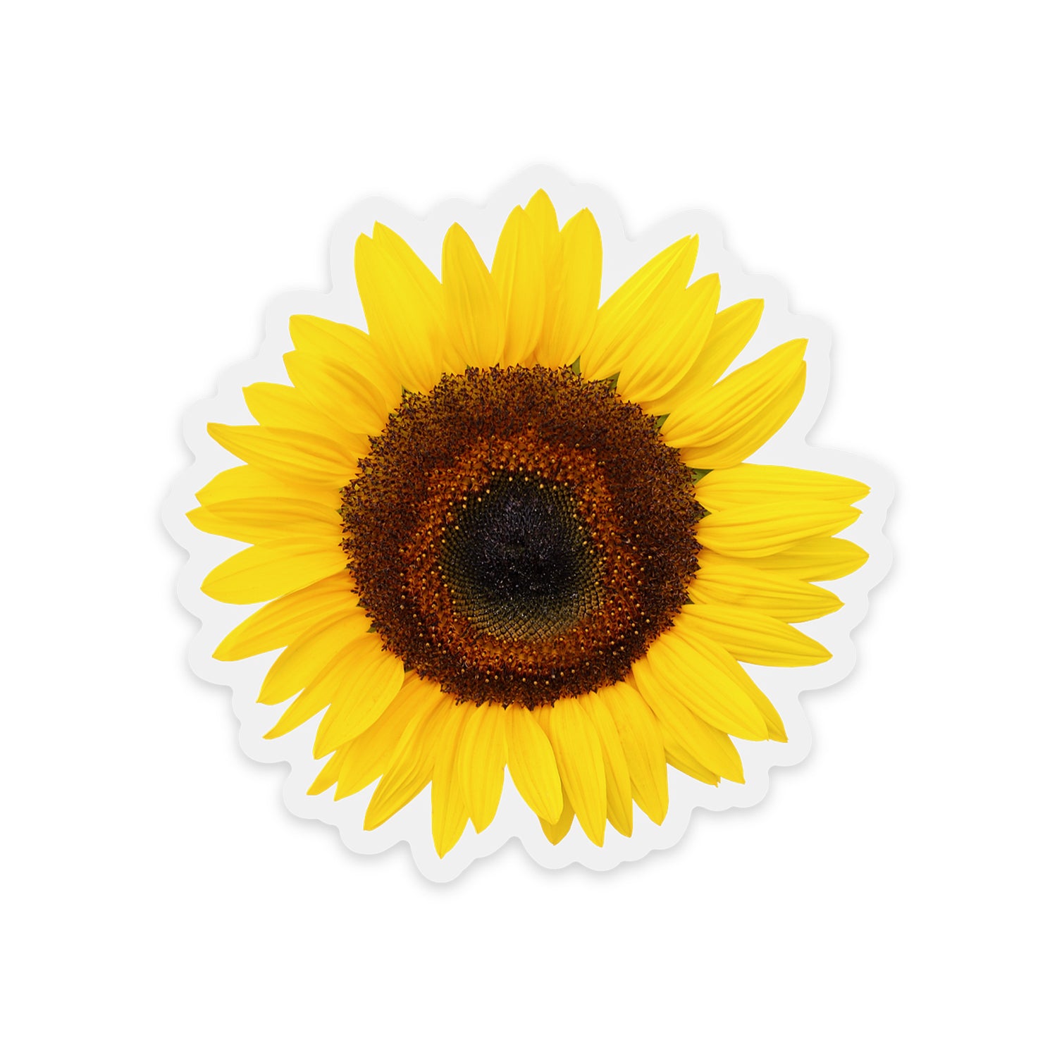 Clear Classic Sunflower Vinyl Sticker