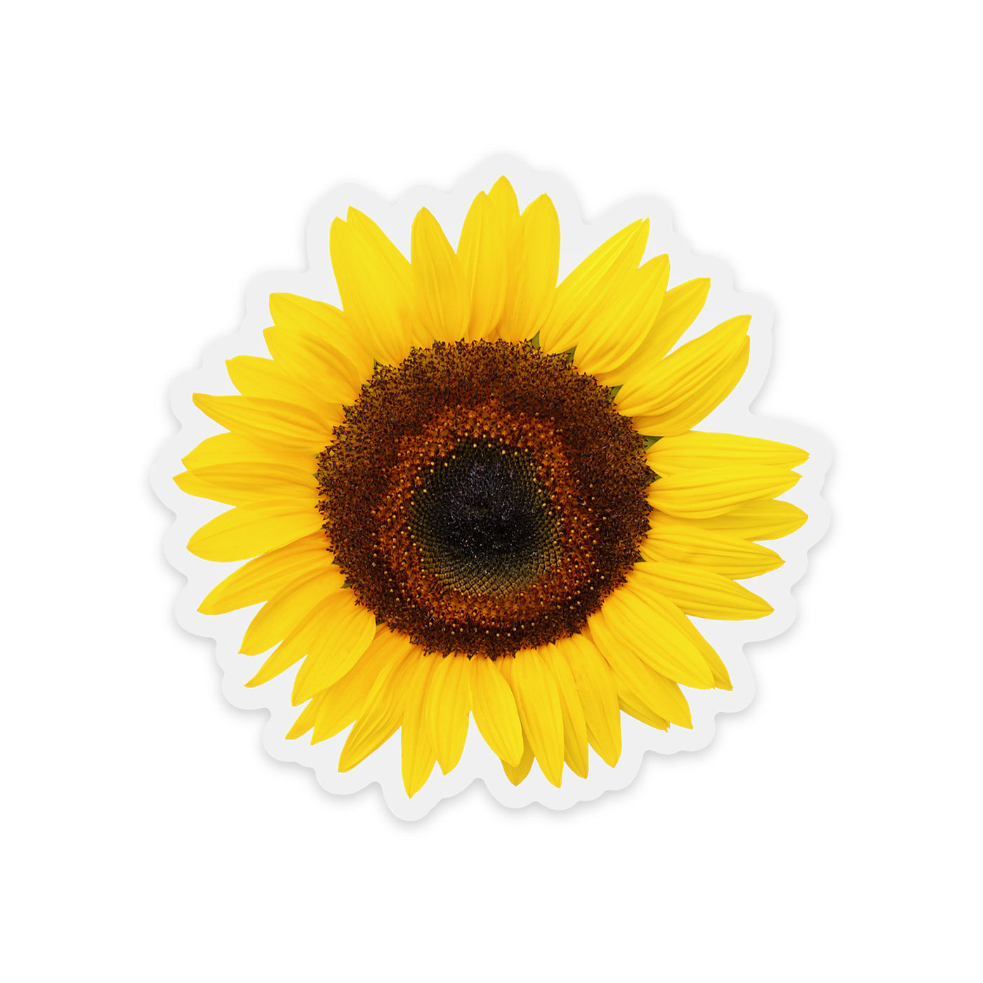 Clear Classic Sunflower Vinyl Sticker – Green Artist Designs