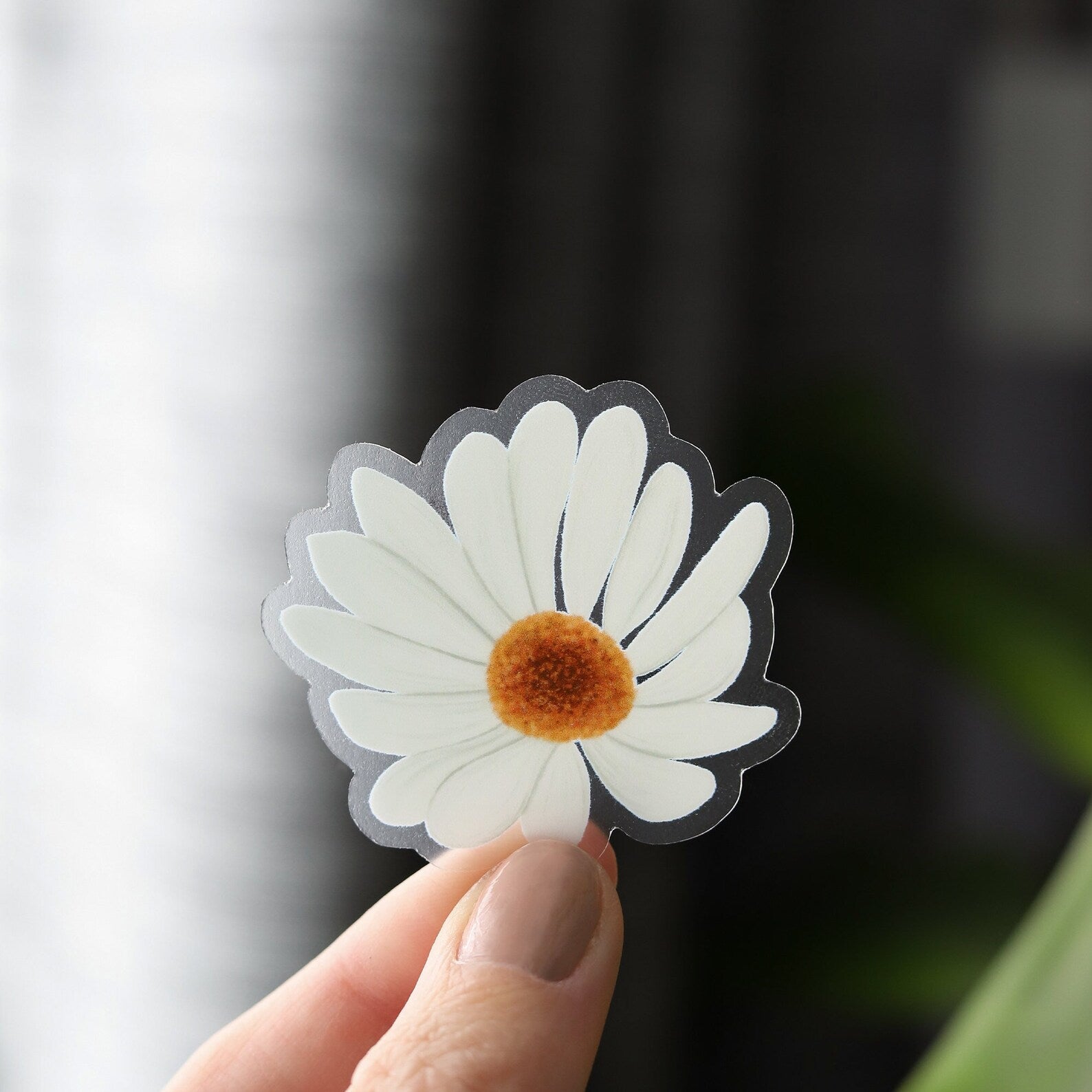 Clear White Daisy Vinyl Sticker – Green Artist Designs