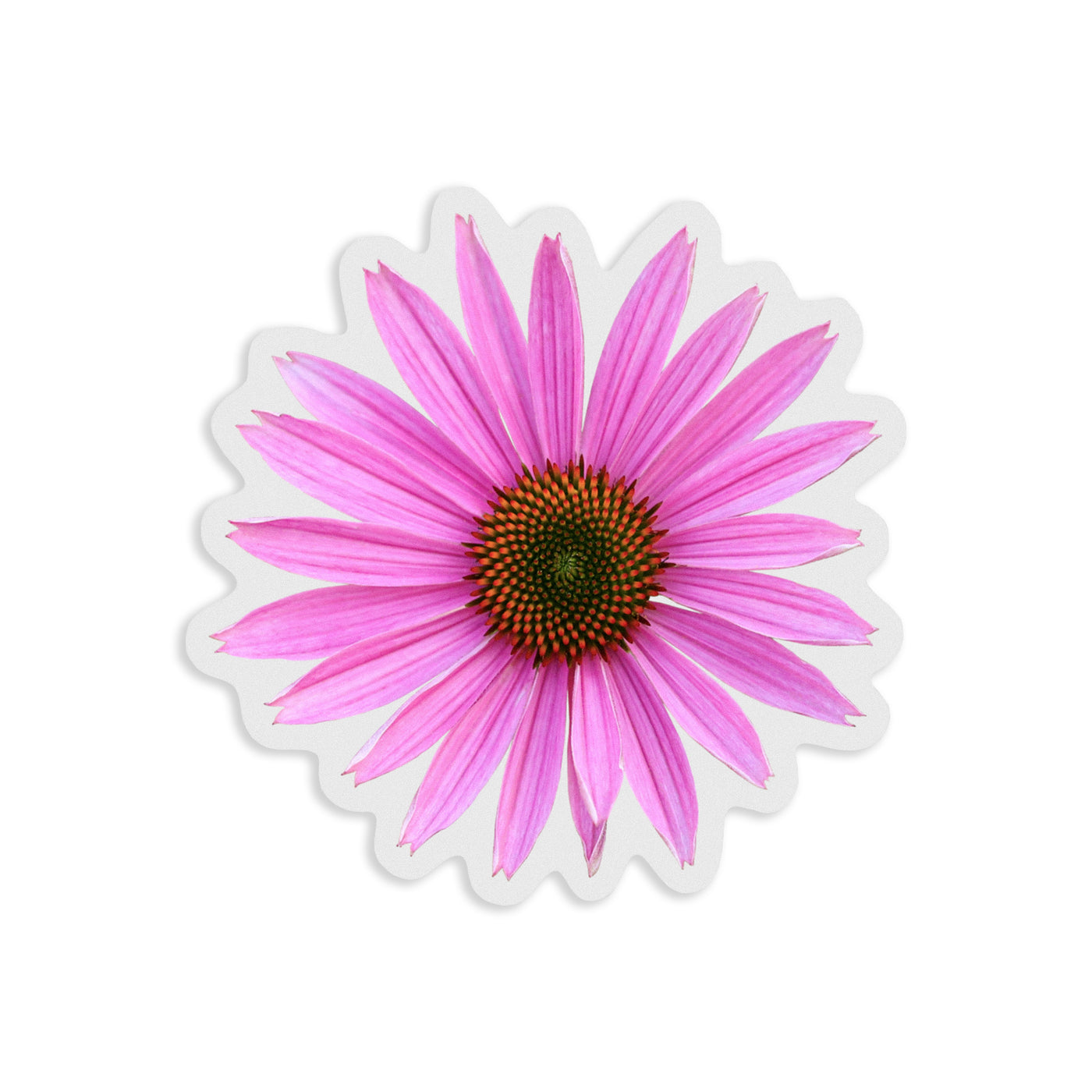 Clear Pink Coneflower Vinyl Sticker