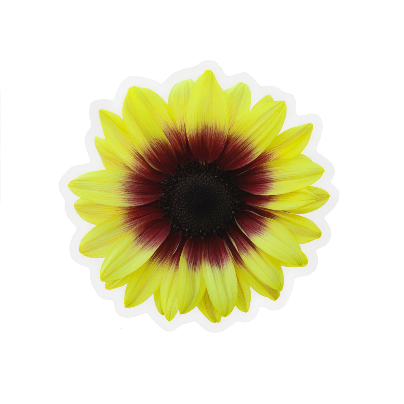 Clear Solar Eclipse Sunflower Vinyl Sticker