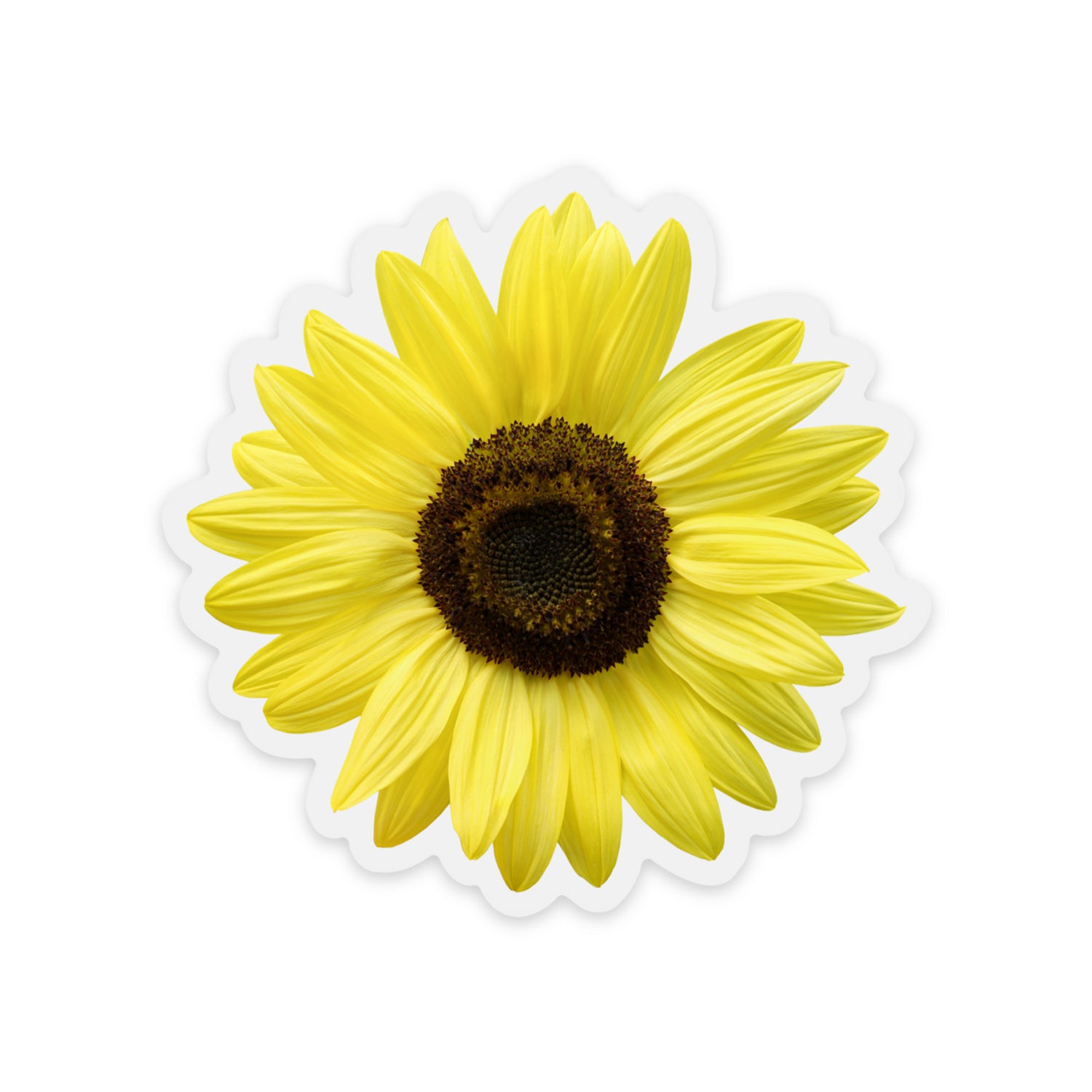 Clear Lemon Queen Sunflower Vinyl Sticker – Green Artist Designs