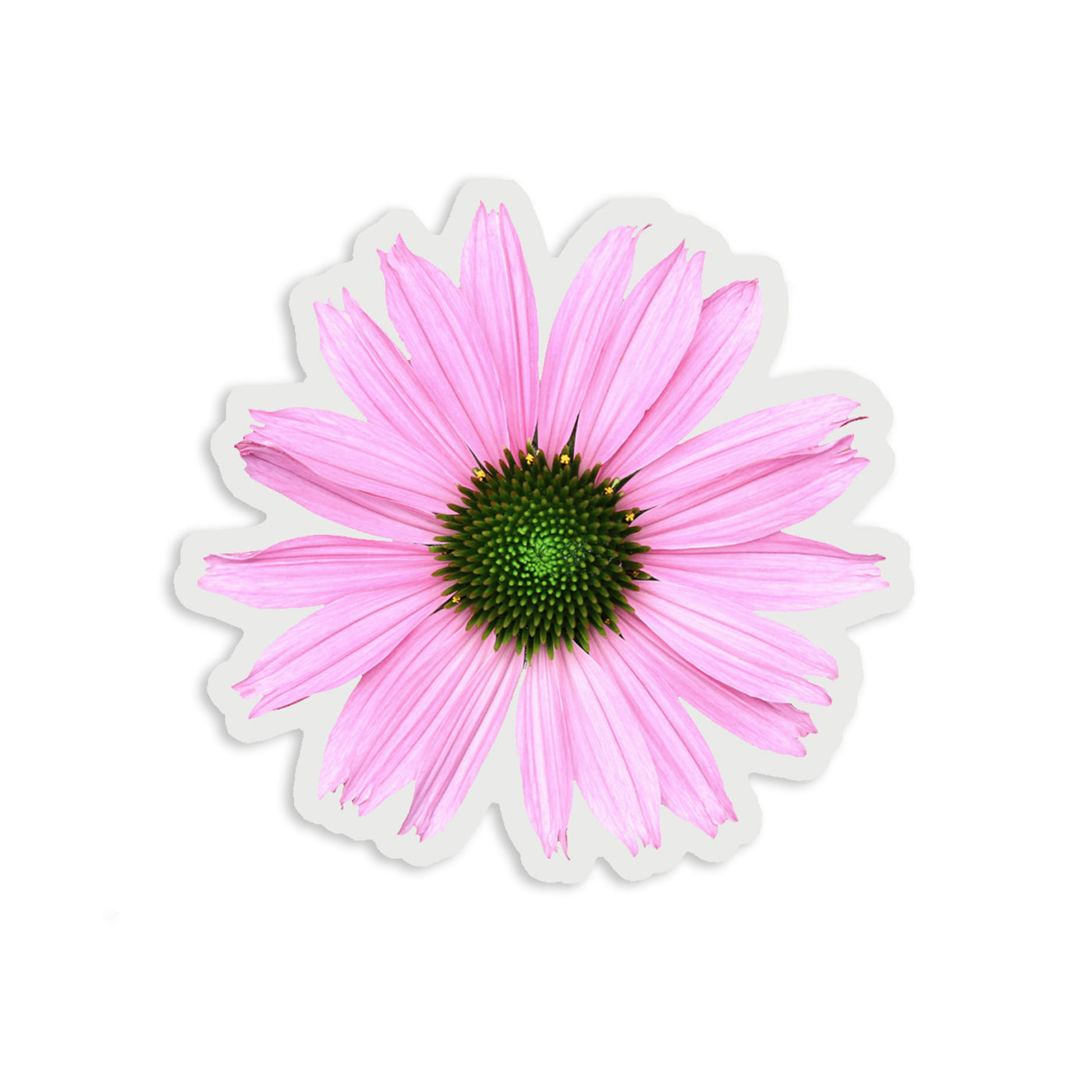Clear Light Pink Coneflower Vinyl Sticker