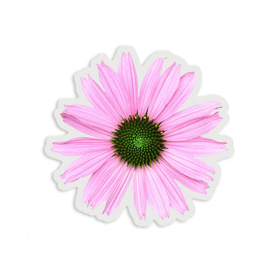 Clear Light Pink Coneflower Vinyl Sticker