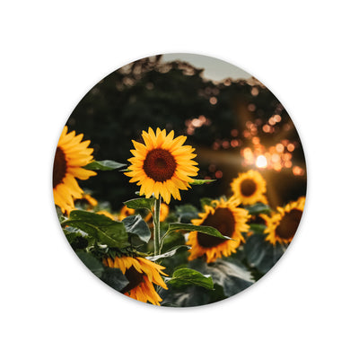 Sunflower Field Vinyl Sticker