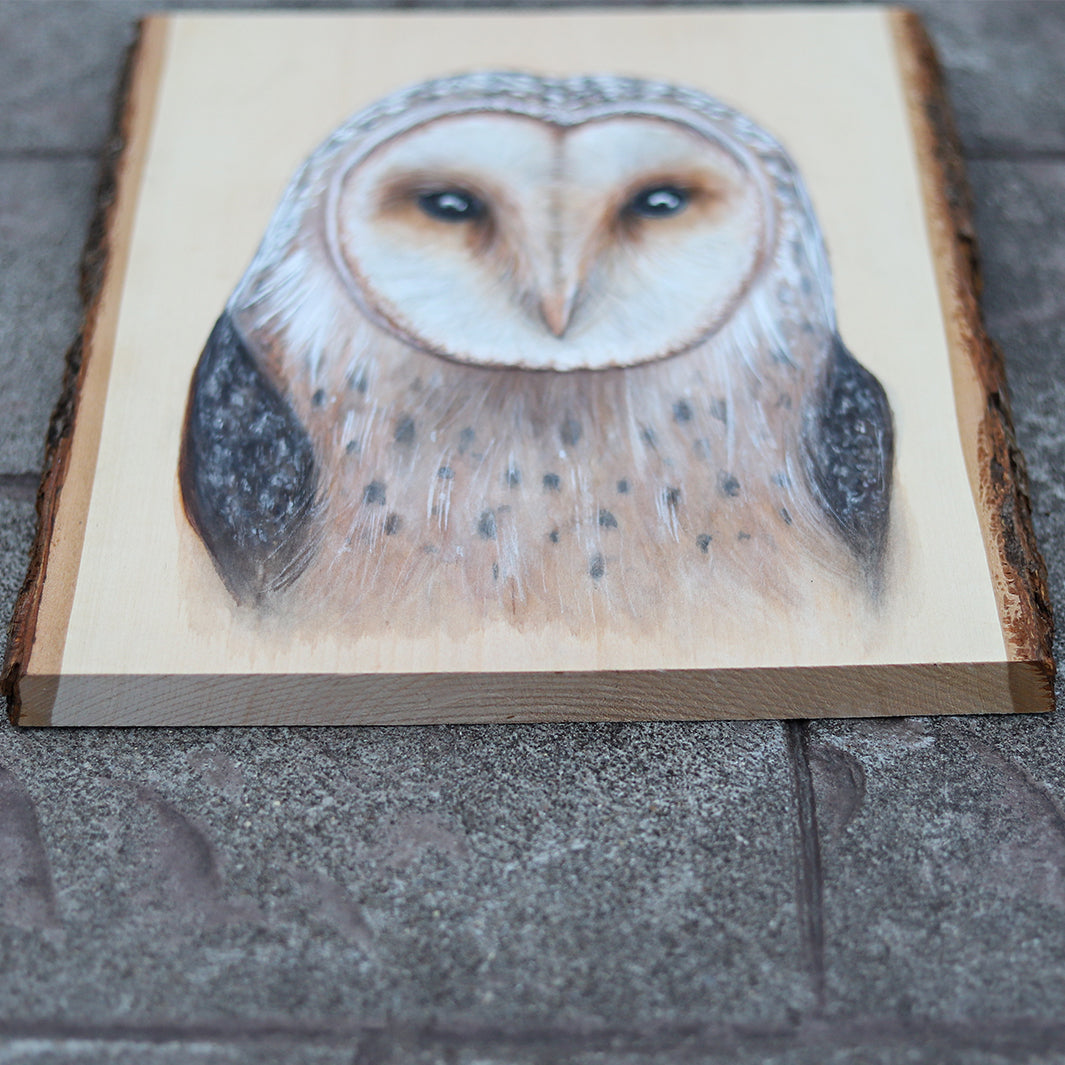 Barn Owl Painting on Wood