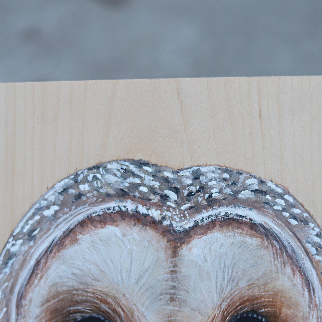 Barn Owl Painting