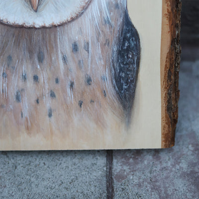 Barn Owl Painting on Rustic Wood by Green Artist