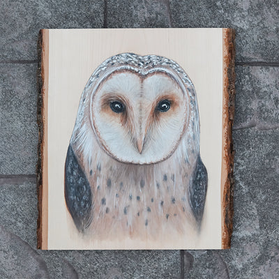 Barn Owl Painting by Green Artist