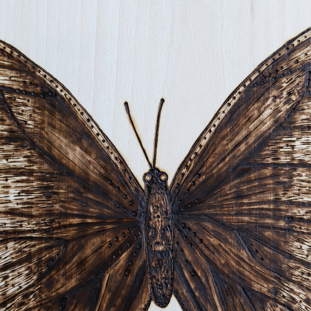 Butterfly Wood Burning by Green Artist Designs