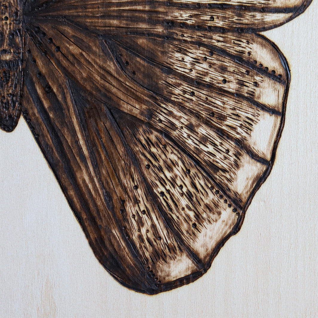 Butterfly Wood Burning by Green Artist Designs