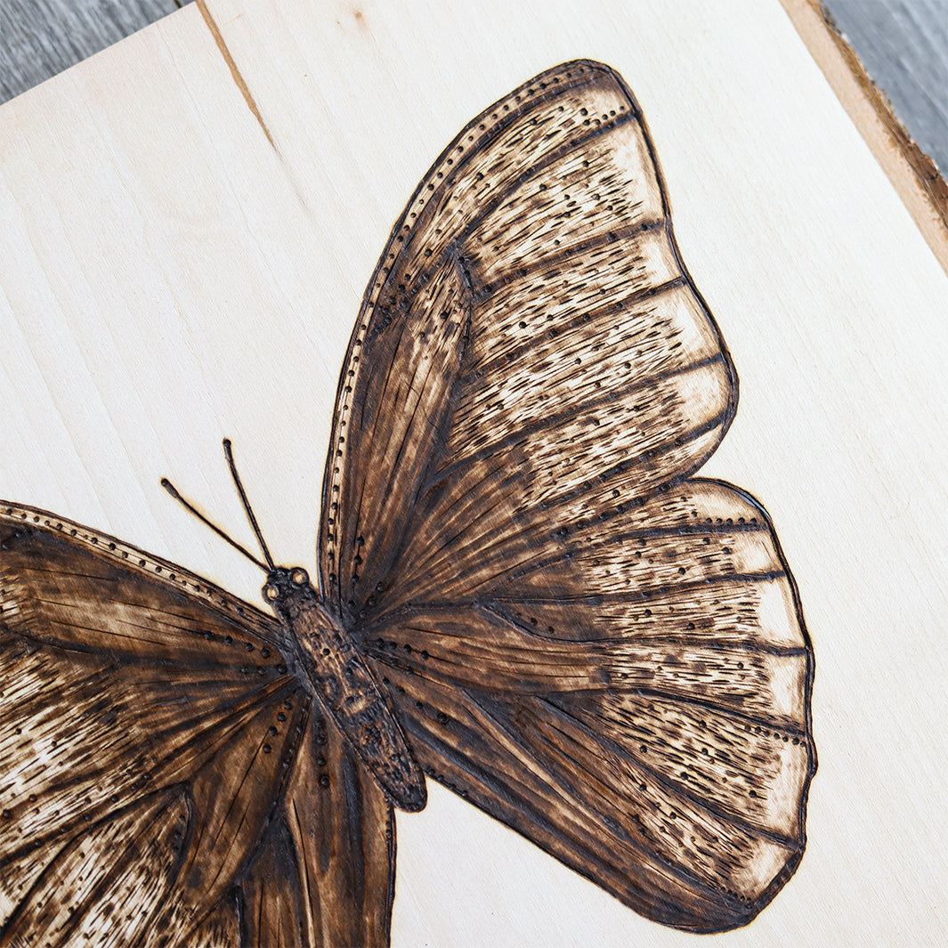 Woodburned Butterfly retailer