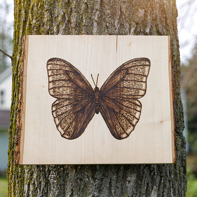 Butterfly Wood Burning