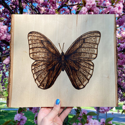 Butterfly Pyrography Wood Burn Art by Green Artist