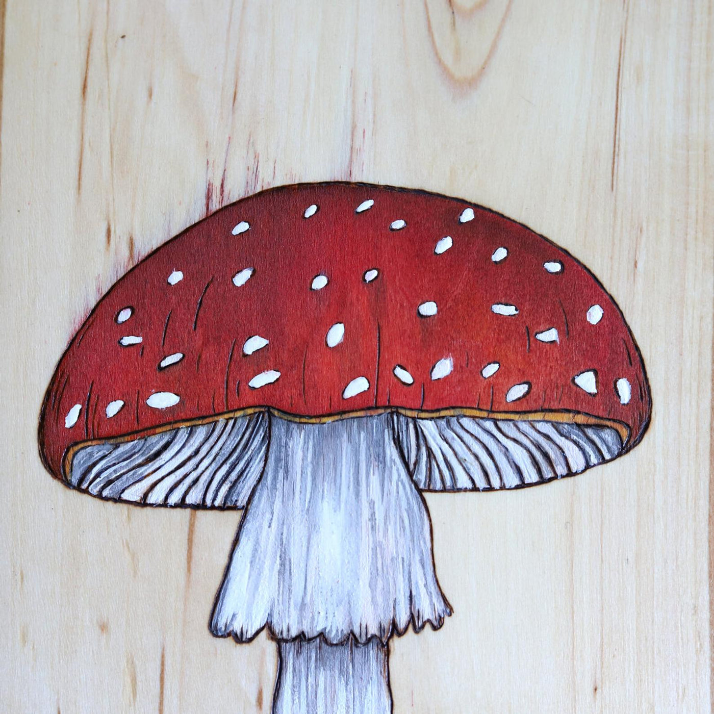 Watercolor Mushroom Wood Sign