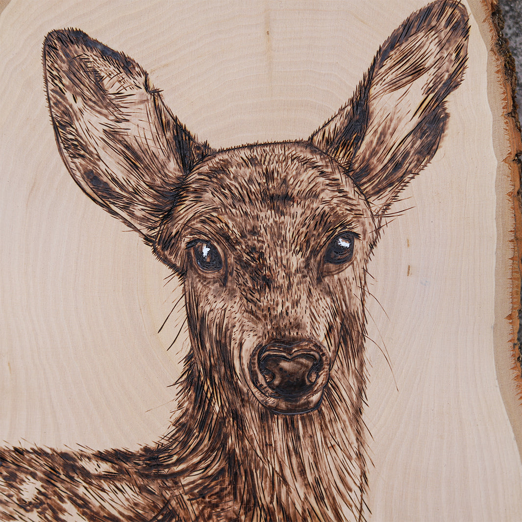 Wood Burned Deer Sign